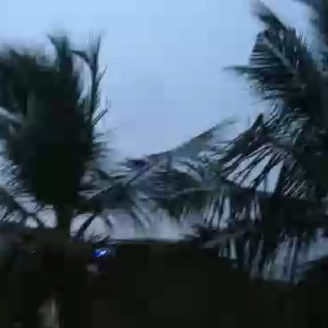 From Tower Park by Shiva