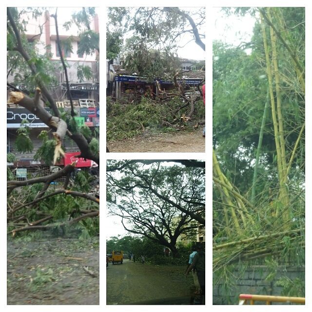 Pics shot around Haddows Road, College Road, Sterling Road and Anderson Road on 13th December (Collage 2)