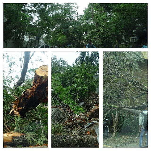 Pics shot around Haddows Road, College Road, Sterling Road and Anderson Road on 13th December (Collage 1)