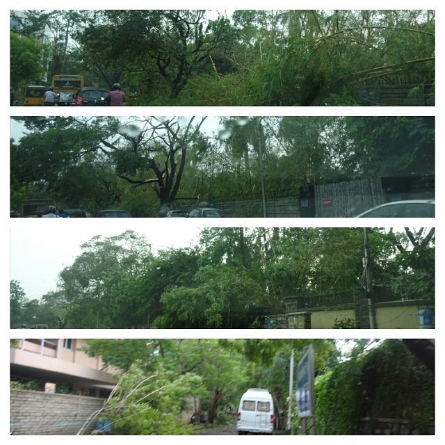 Pics shot around Haddows Road, College Road, Sterling Road and Anderson Road on 13th December (Collage 3)