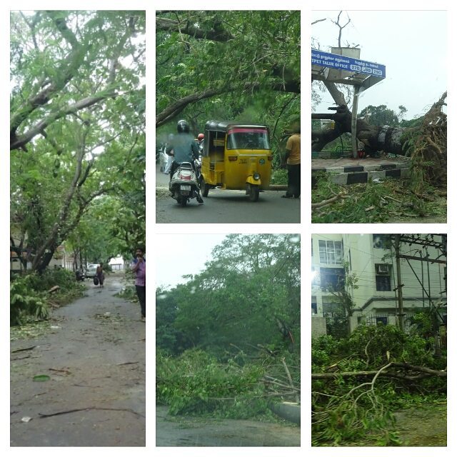 Pics shot around Haddows Road, College Road, Sterling Road and Anderson Road on 13th December (Collage 4)